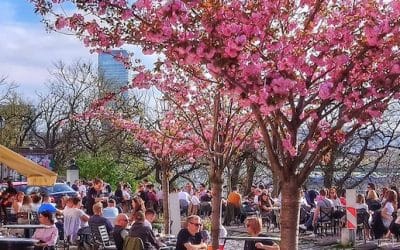 What To Do In Belgrade in April 2026