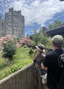 People admiring rose garden among brutalist buildings in Belgrade