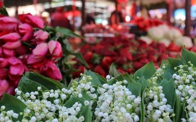 What To Do in Belgrade in May 2026