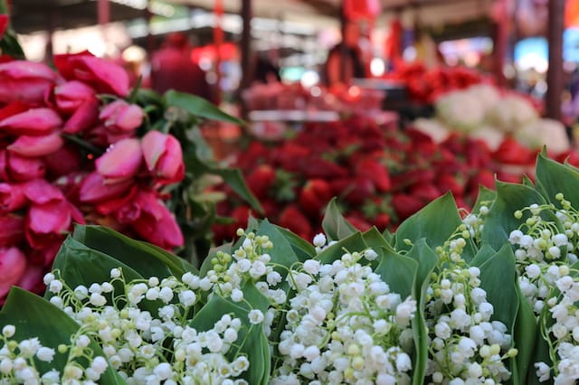 What To Do in Belgrade in May 2026