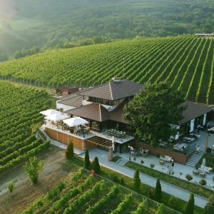 tarpos winery seen at private day tour from belgrade