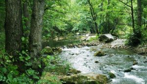 Gradac River gorge