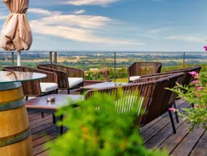Terrace with views of Despotika winery in Serbia